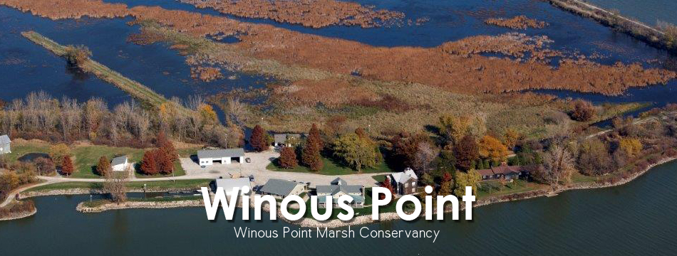 Winous Point